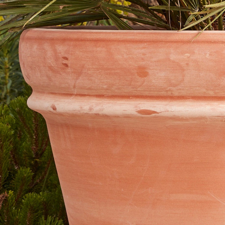 Bordo Italia Extra Large Terracotta Pot with its natural kiln-fired finish and subtle weathering, showcasing its timeless, rustic aesthetic.