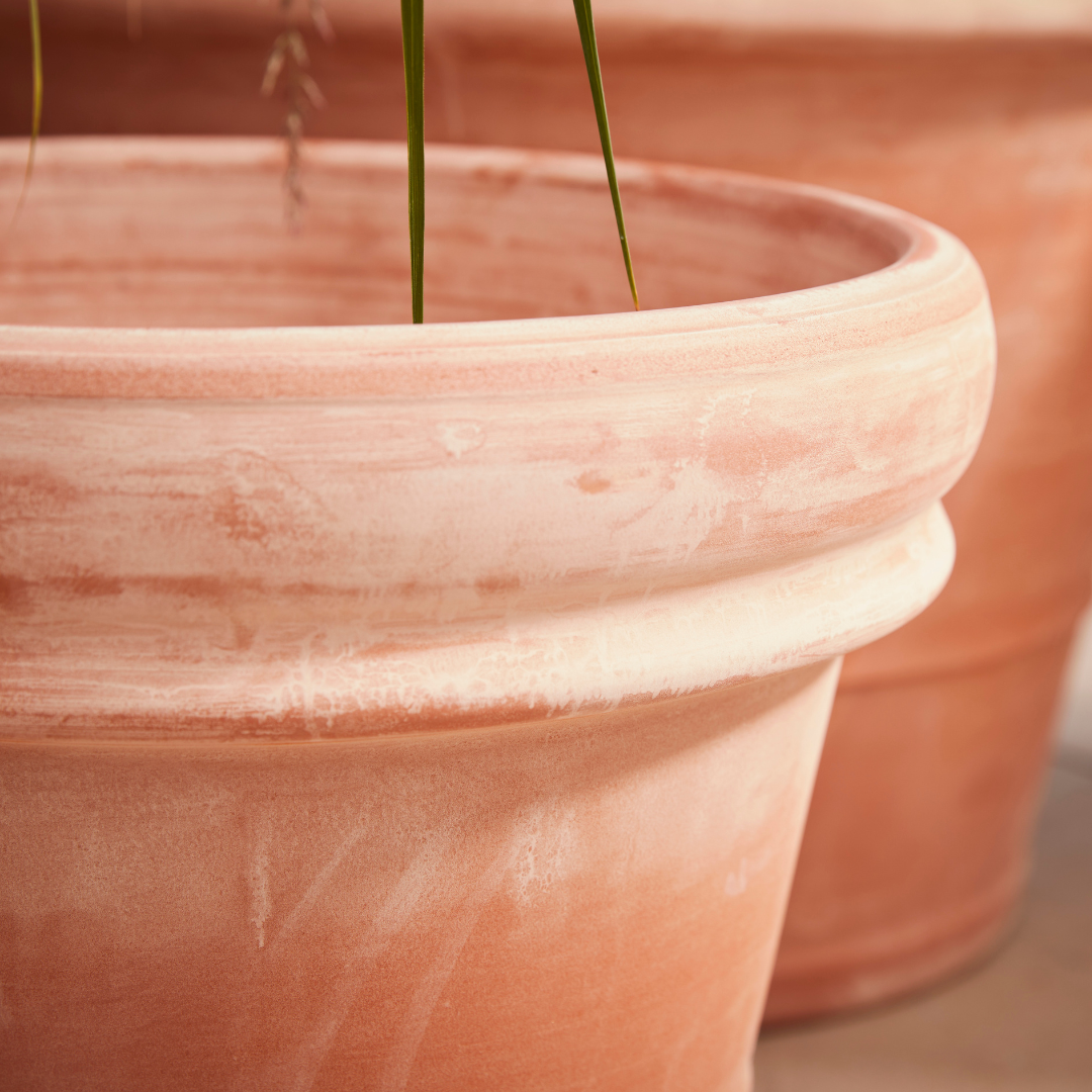 35cm terracotta plant pot Bordo Large Terracotta Pot