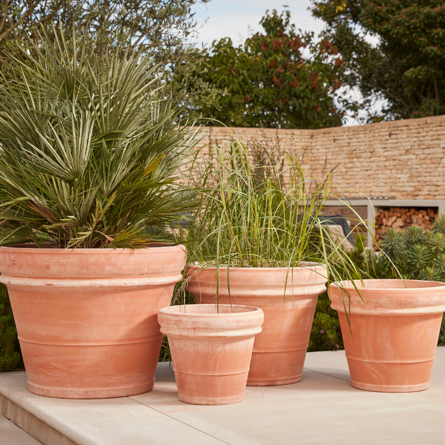 A collection of terracotta pots of varying sizes placed on a patio, filled with different plants, including tall grasses and a palm-like shrub. The background features a brick wall and lush greenery, creating a natural and serene outdoor setting.