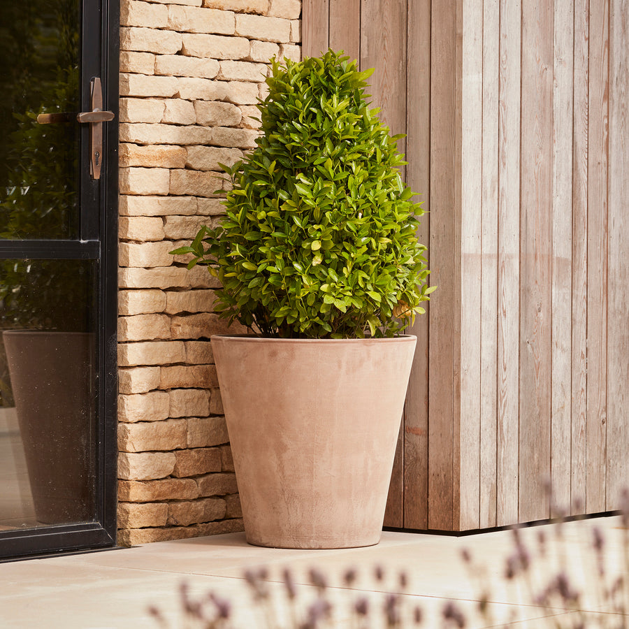 Borge Large Grey Terracotta Pot with a smooth, tapered design, placed beside a modern entranceway with a neatly trimmed shrub. A handcrafted, frost-proof planter ideal for patios, terraces, and garden spaces.