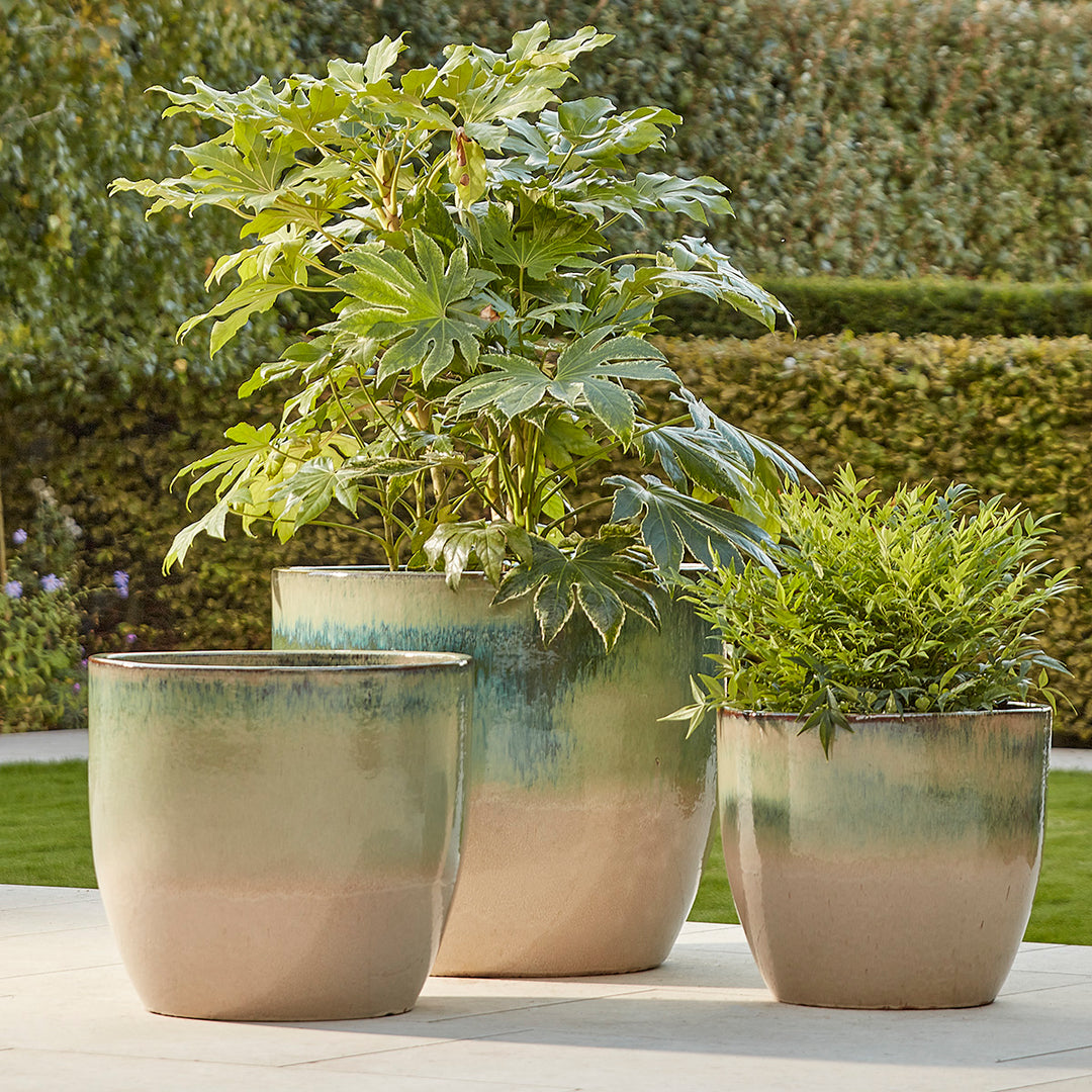 big garden pot plants Celine large frost-proof glazed garden pot
