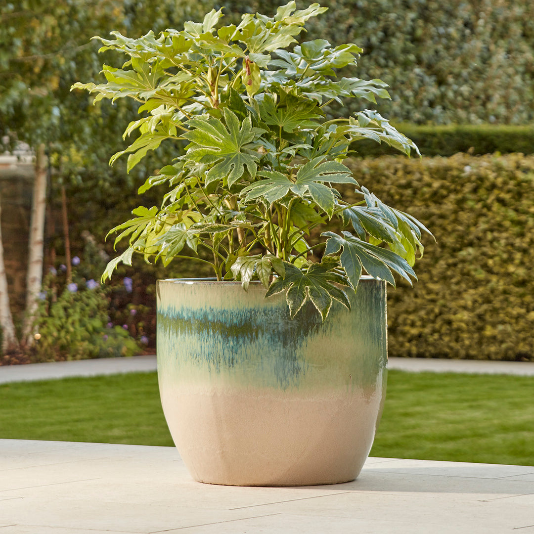 Celine Large | Glazed Plant Pot