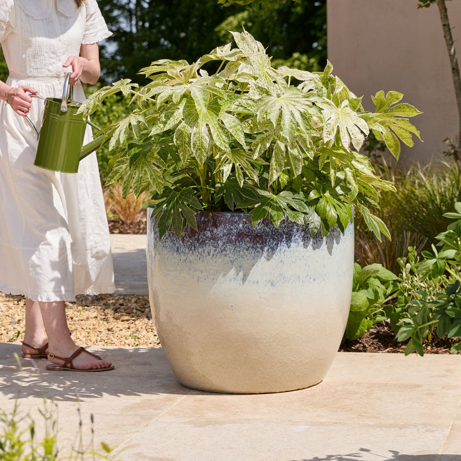 Celine Large | Glazed Plant Pot