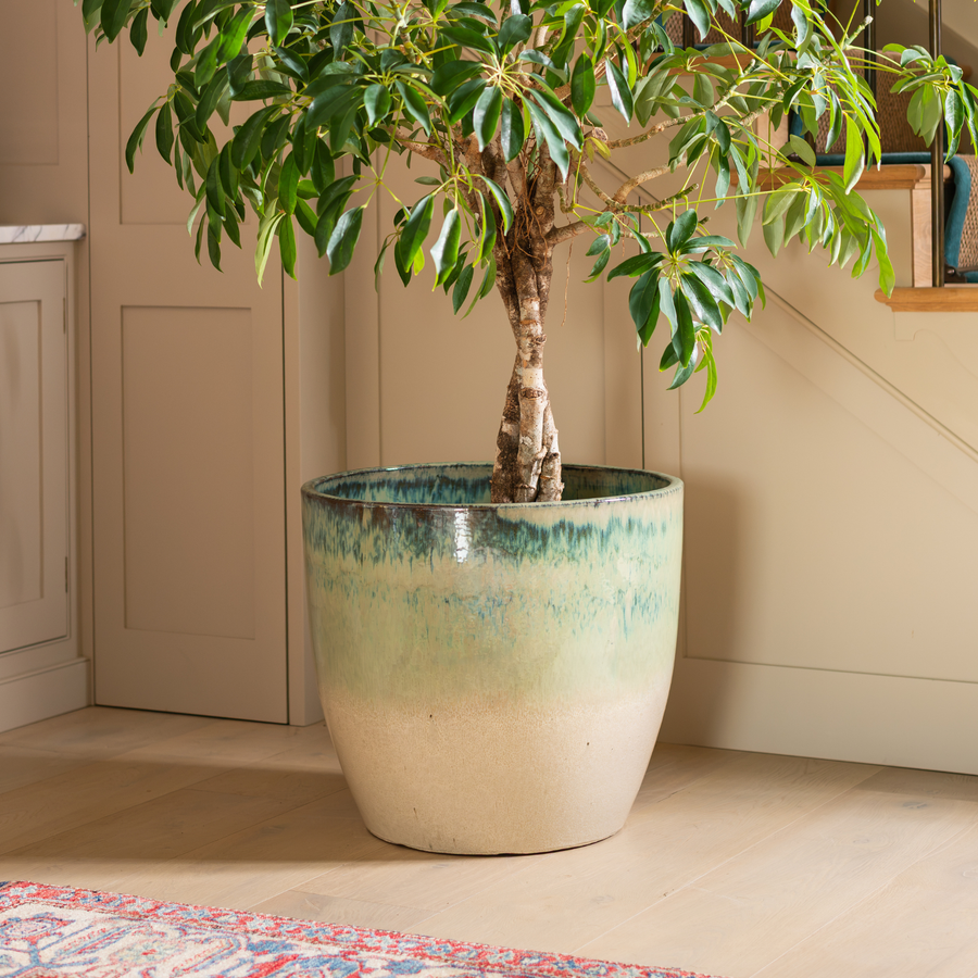 Celine | Indoor Plant Pot