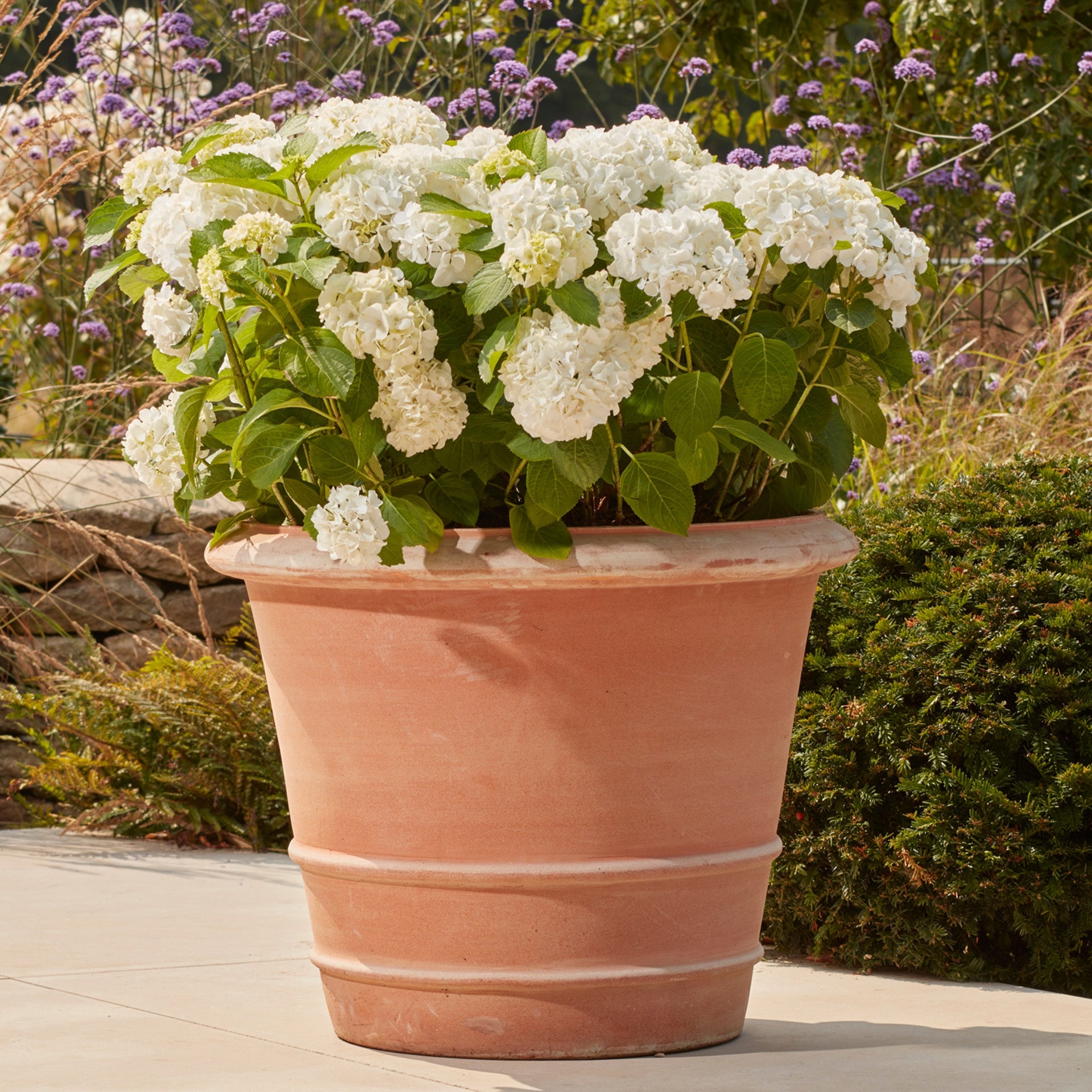 Clayton Grande Terracotta Plant Pot