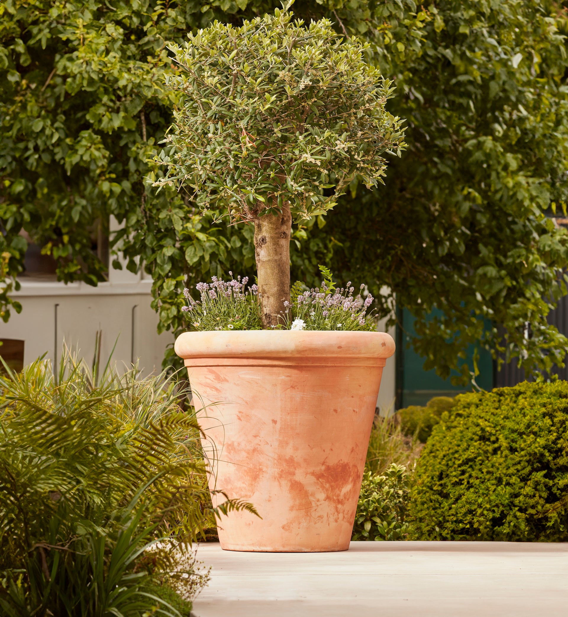 large plant pots outdoor terracotta Tapered Terracotta Planter