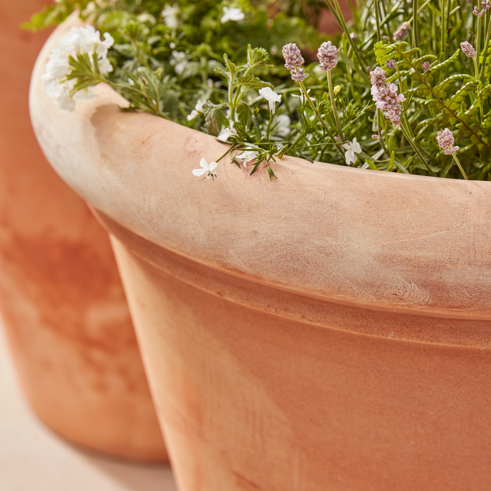Detailed view of the Clayton Extra Large Terracotta Pot’s smooth rim and textured terracotta surface, highlighting its handcrafted quality and robust construction.