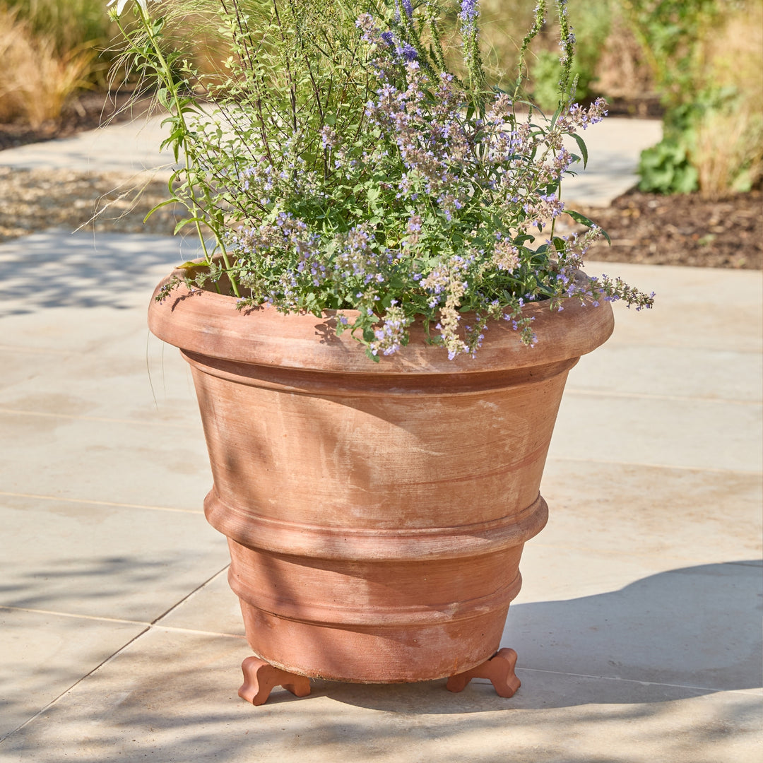 A large terracotta planter pot with decorative ridges and small feet, filled with green foliage and light purple flowers, placed outdoors on a light stone patio.