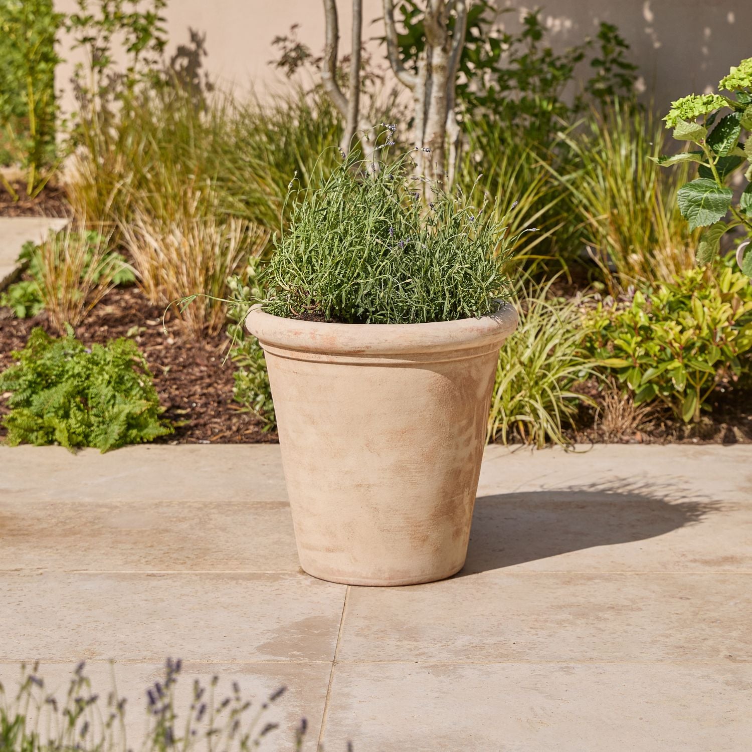 Antique Terracotta Plant Pot