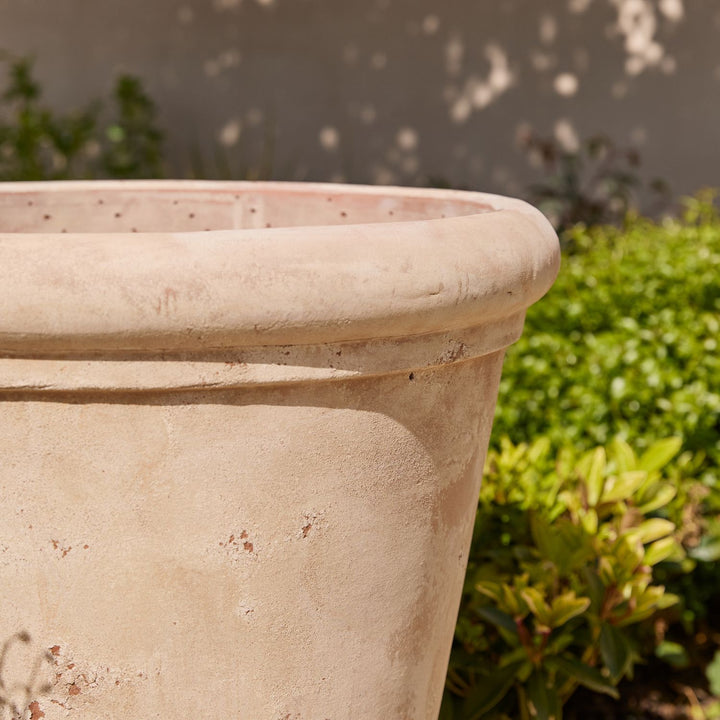Clayton Antique | Terracotta Plant Pot