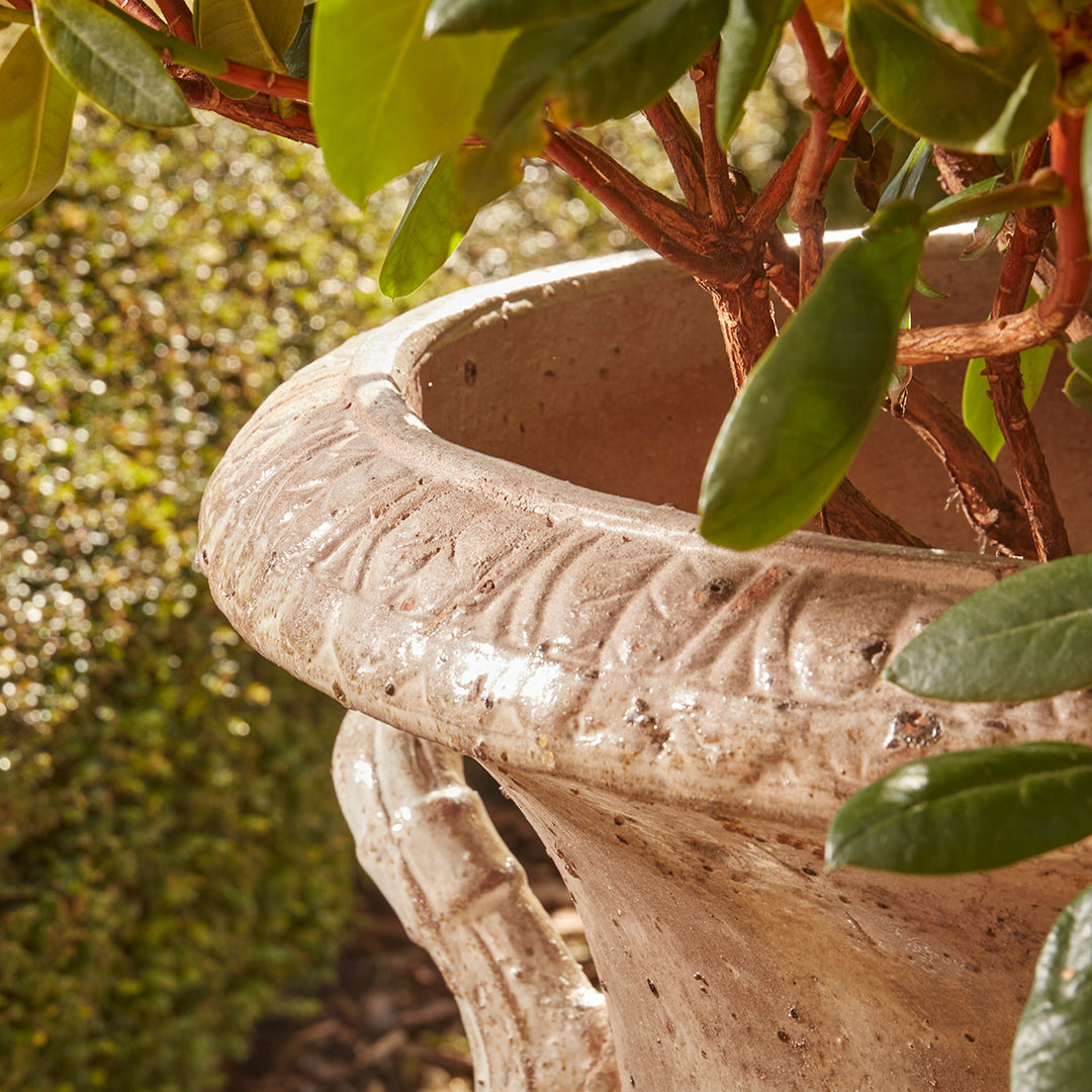 Detail of gloss-glazed fluted urn planter rim with carved decoration and curved handle, planted with green foliage.