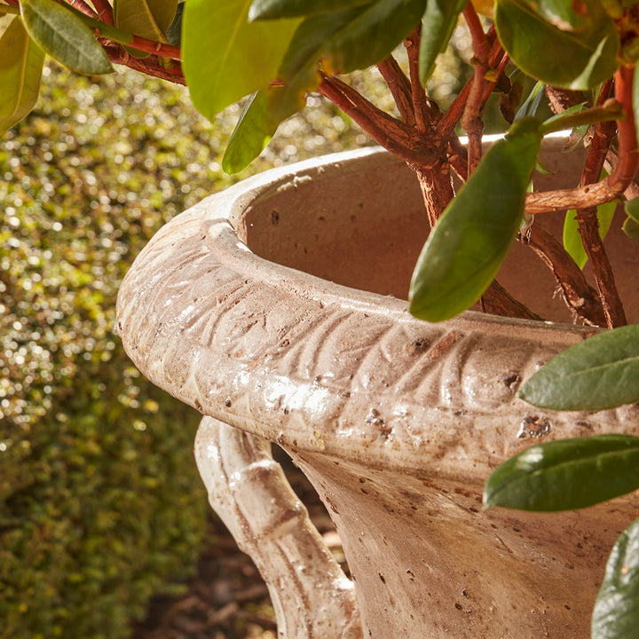 Detail of gloss-glazed fluted urn planter rim with carved decoration and curved handle, planted with green foliage.