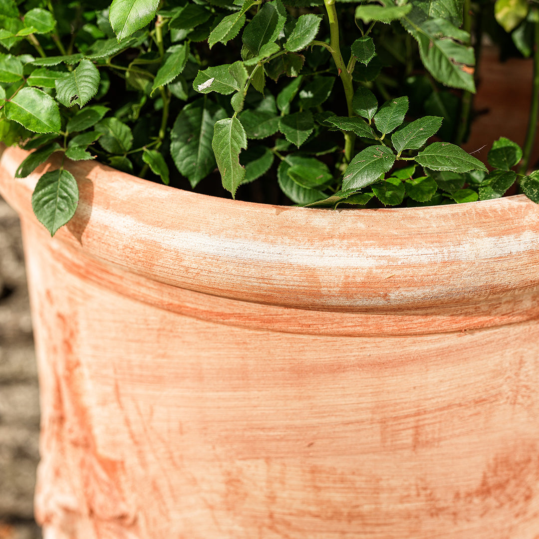 Detail of Delia Italian terracotta wall planter rim showing artisanal craftsmanship