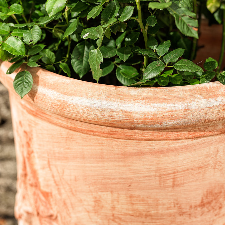 Detail of Delia Italian terracotta wall planter rim showing artisanal craftsmanship