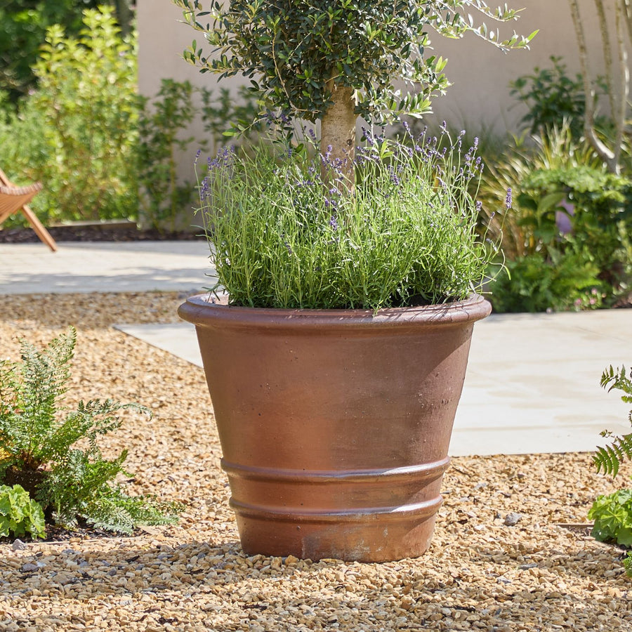 Desi Ancient | Glazed Plant Pot