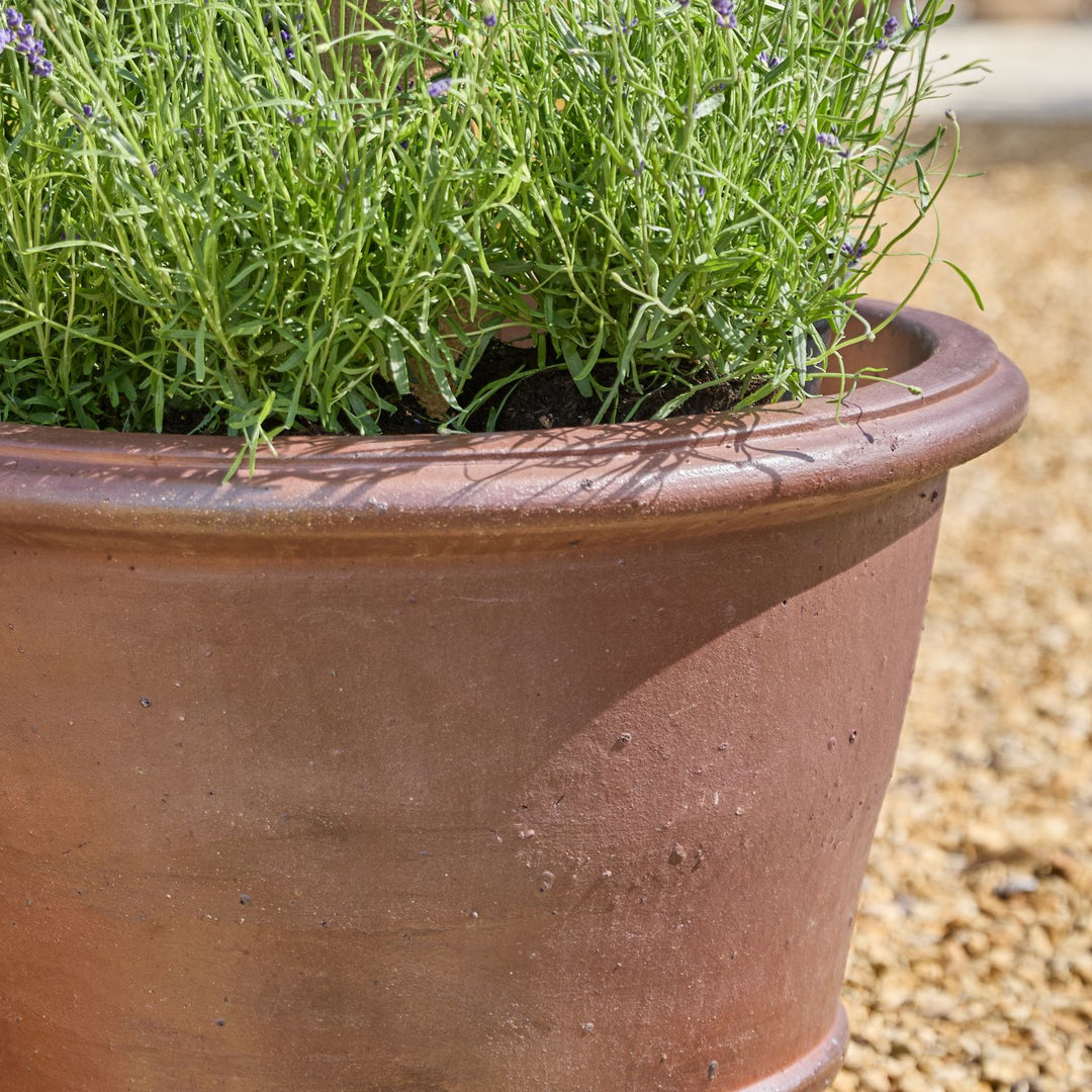 Desi Ancient | Glazed Plant Pot