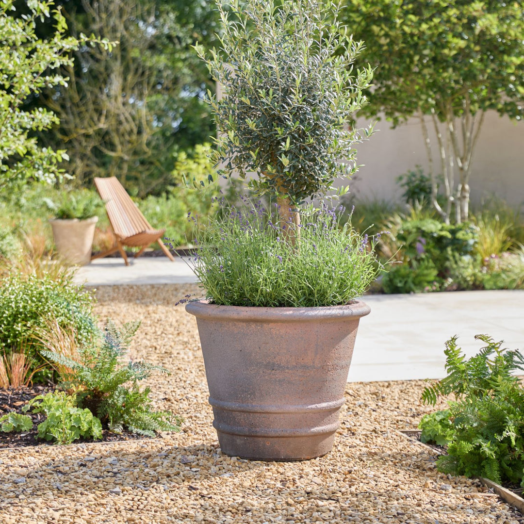 Desi Ancient | Glazed Plant Pot