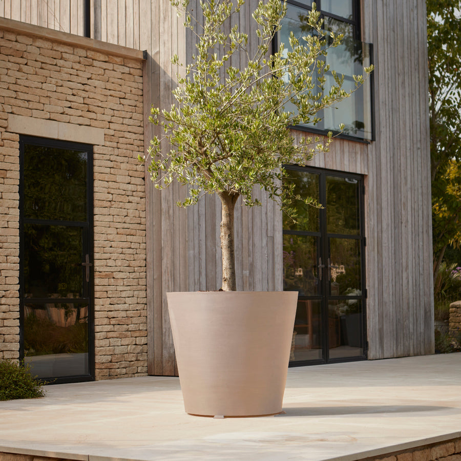 Tall contemporary taupe planter with a sleek matte finish, styled with a tree on a modern patio for a minimalist outdoor aesthetic.