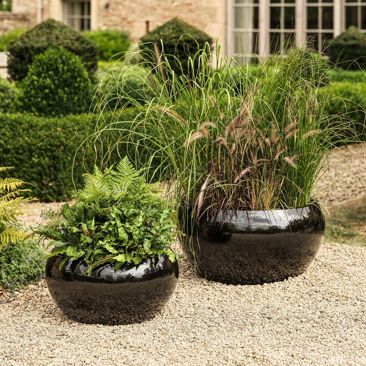 Estee large glazed bowl planter in charcoal black finish, styled with ferns and ornamental grasses outdoors.