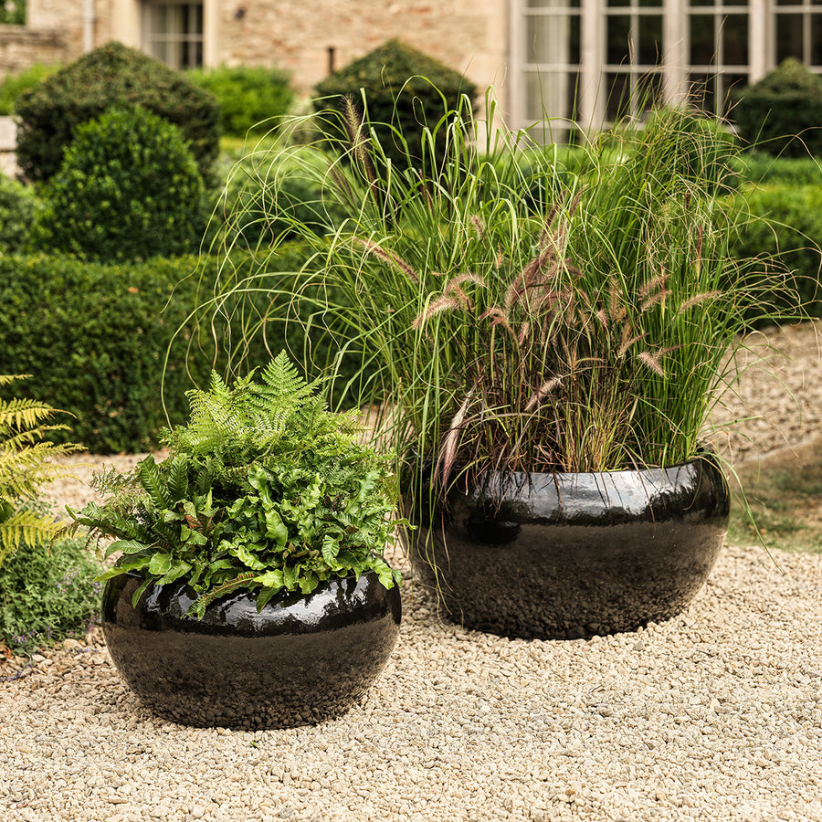 Estee large glazed bowl planter in charcoal black finish, styled with ferns and ornamental grasses outdoors.