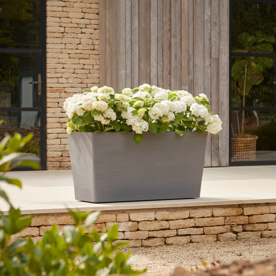 Gardenesque x EcoPots Extra Large Wheeled Trough in grey, elegantly displayed with white hydrangeas on a patio.
