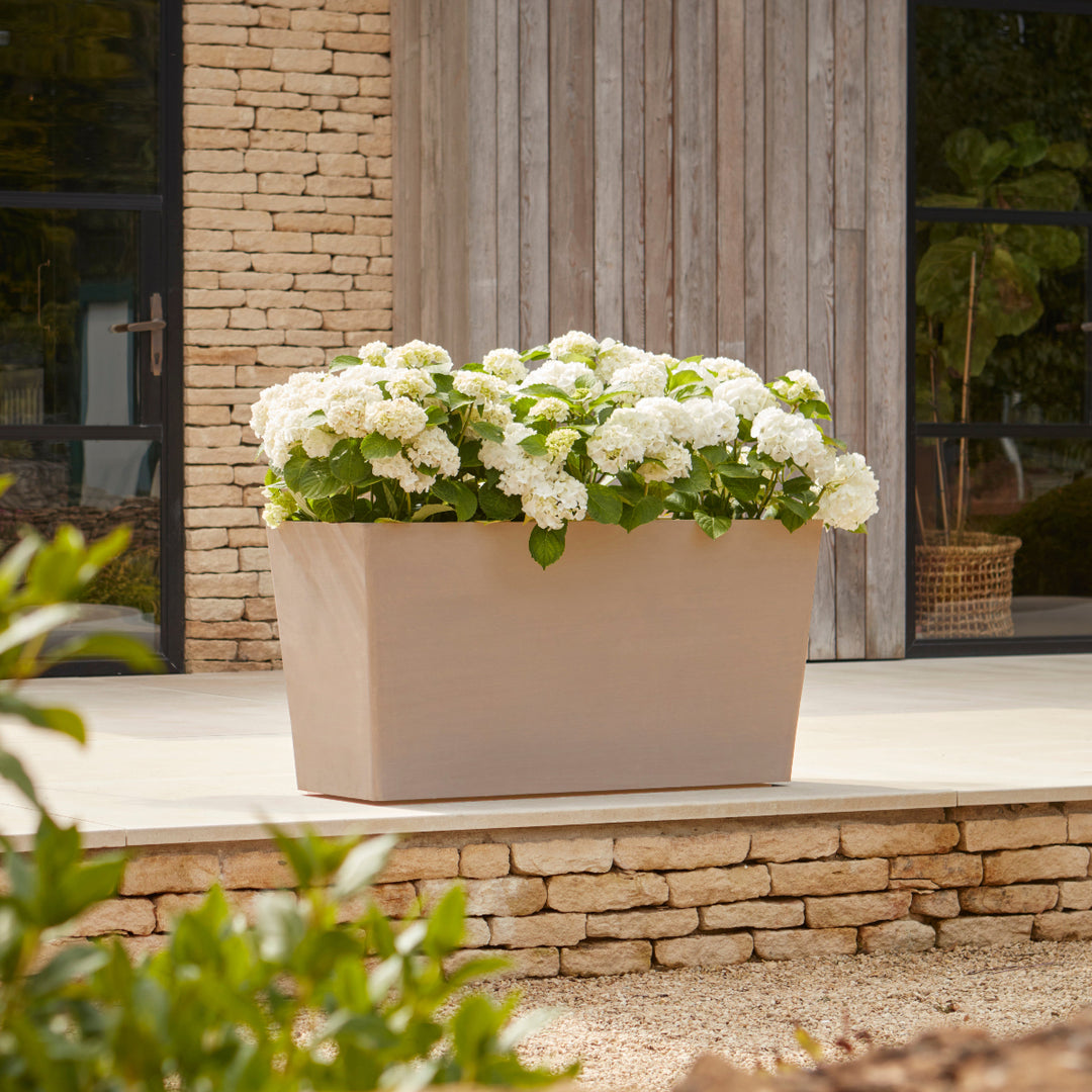 Gardenesque x EcoPots Extra Large Wheeled Trough in taupe, elegantly displayed with white hydrangeas on a patio.