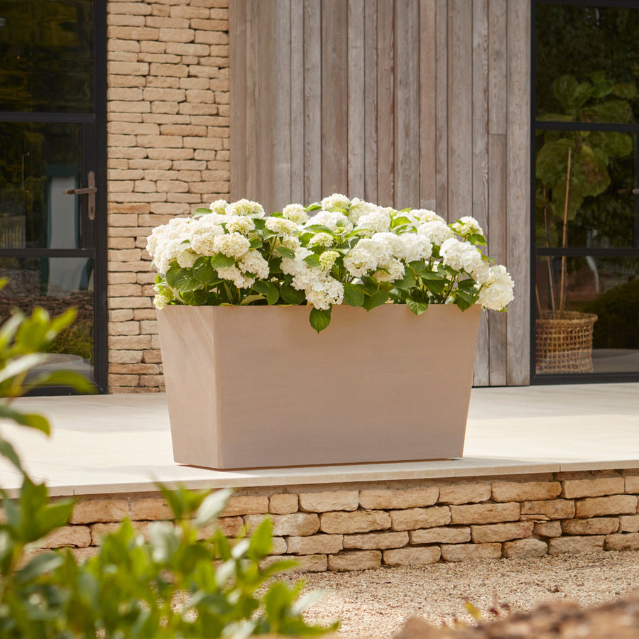 Gardenesque x EcoPots Extra Large Wheeled Trough in taupe, elegantly displayed with white hydrangeas on a patio.