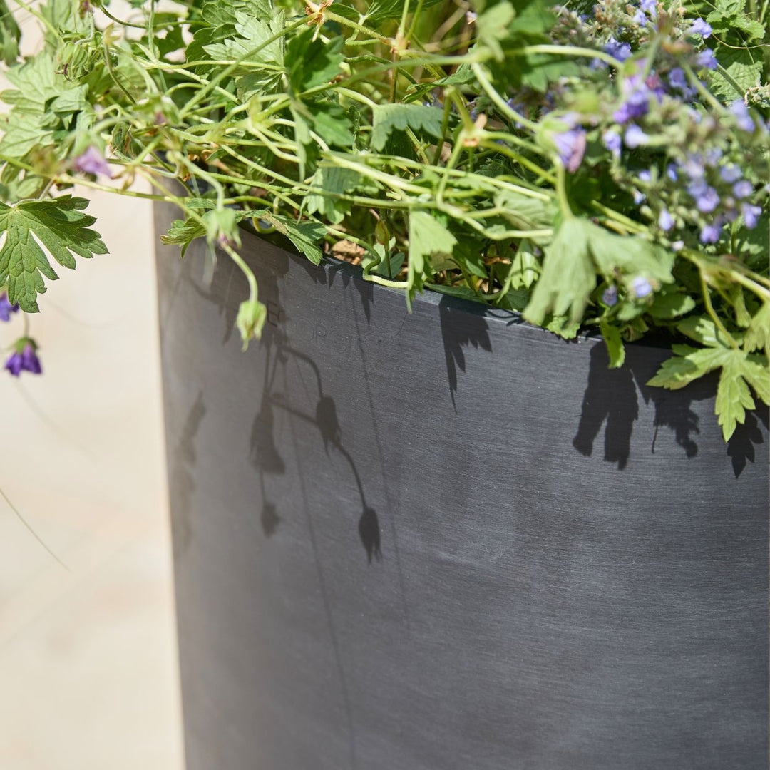 A close-up of a large black cylindrical planter filled with green foliage and small purple flowers, photographed outdoors with sunlight casting shadows on the planter surface.