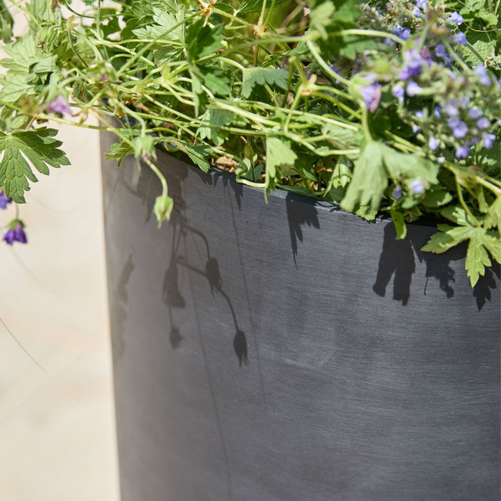 A close-up of a large black cylindrical planter filled with green foliage and small purple flowers, photographed outdoors with sunlight casting shadows on the planter surface.