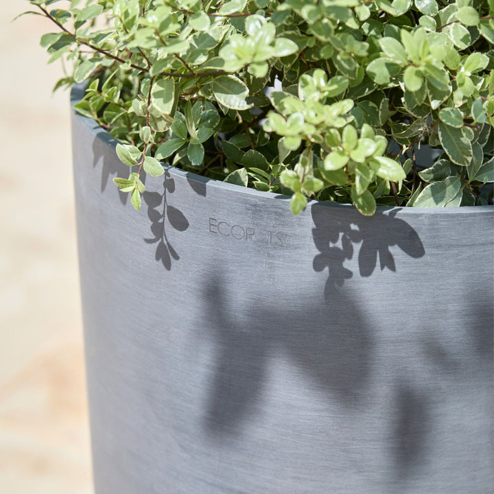 A close-up of a gray biodegradable planter bag with the brand name 'ECOPOTS' debossed on the side, filled with green leafy plants and photographed outdoors with natural sunlight casting leaf shadows on the planter.