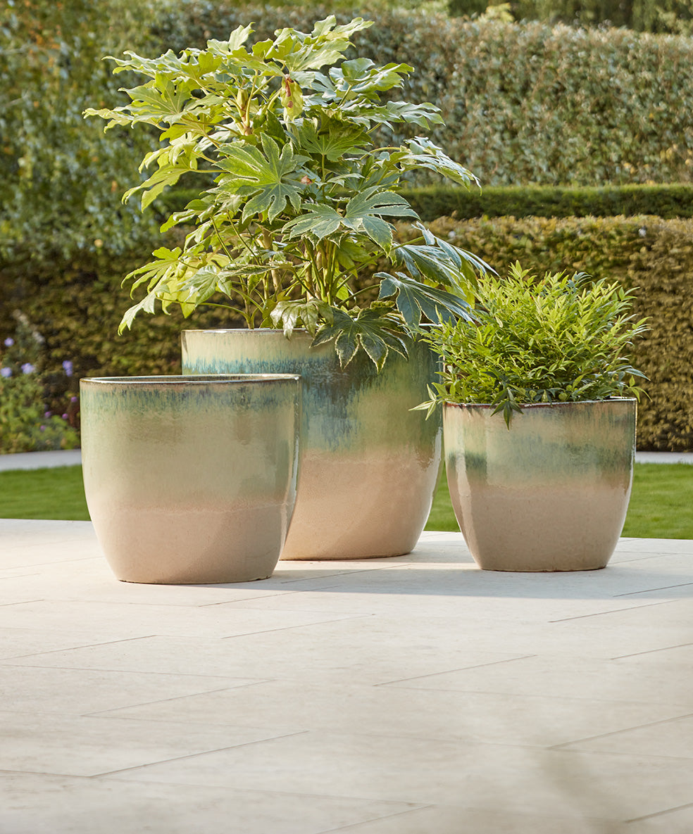Three potted plants in ceramic pots on a patio with a garden background