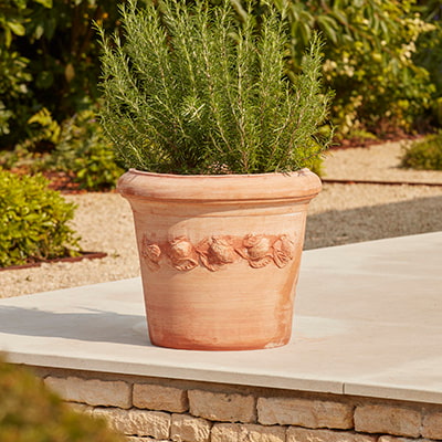 Italian terracotta garden plant pot with lemon embellishments on a patio in the cotswolds