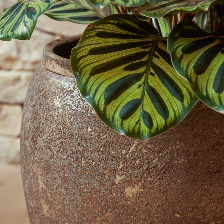 Close-up of the Julian Bronze Indoor Plant Pot, highlighting its earthy bronze patina and handcrafted ceramic texture.