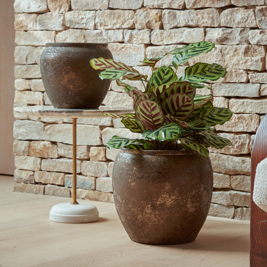 Julian Bronze Indoor Plant Pots in two sizes, featuring a textured antique finish, displayed in a rustic-inspired interior.