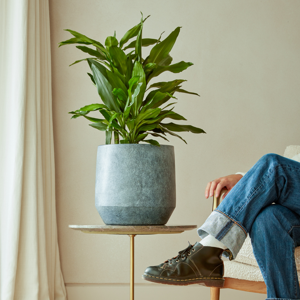 Leandro Indoor Plant Pot styled in a modern interior, placed on a side table next to a seated person, showcasing its size and contemporary design.