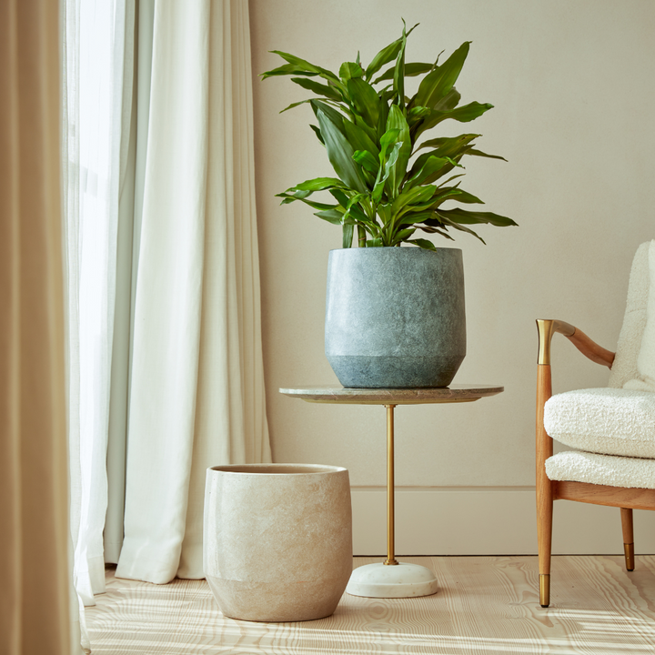 Leandro Indoor Plant Pots in two sizes and finishes, displayed together on a side table for a cohesive, modern look.