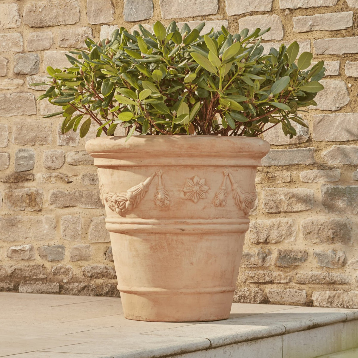 Lena Large Terracotta Plant Pot