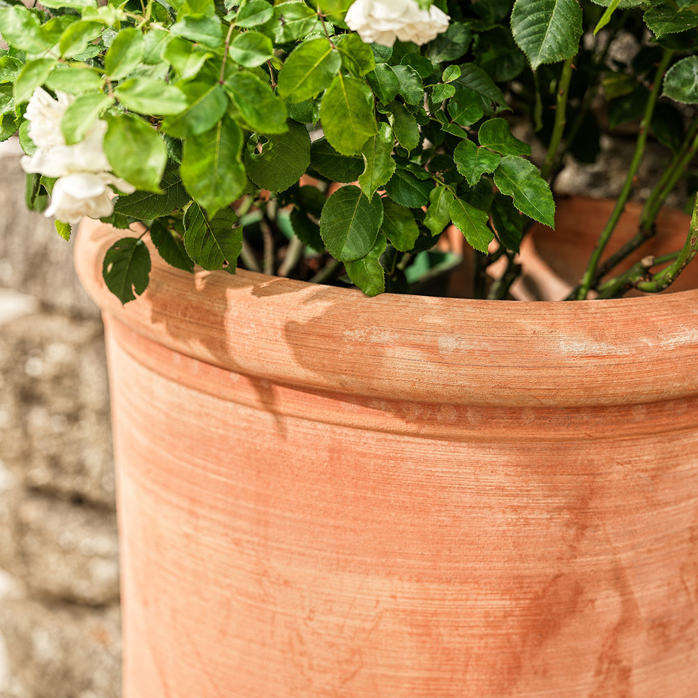 Close-up rim detail of Loreto Italian terracotta wall planter, showing handcrafted texture and warm clay finish