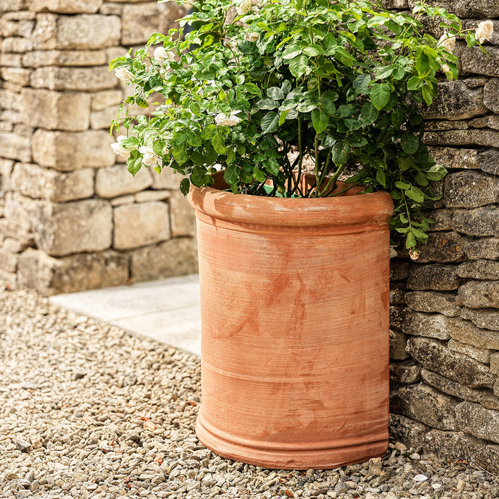 Classic Italian terracotta wall planter with rounded shape, perfect for Mediterranean garden style