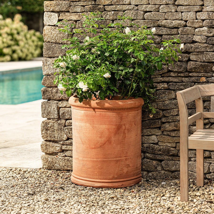 Handmade Loreto round Italian terracotta wall planter with natural patina, ideal for trailing plants