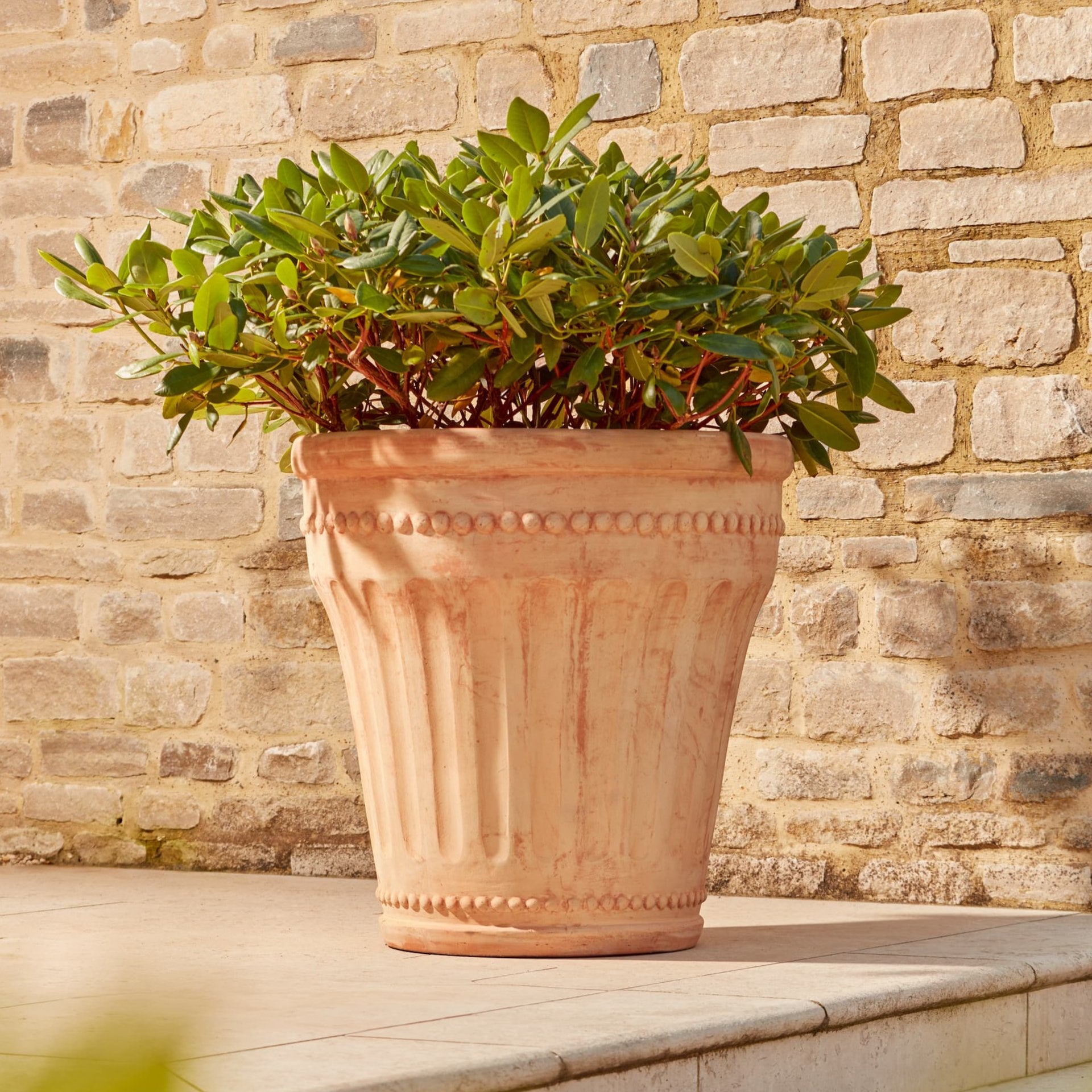 Lucie Large Terracotta Plant Pot
