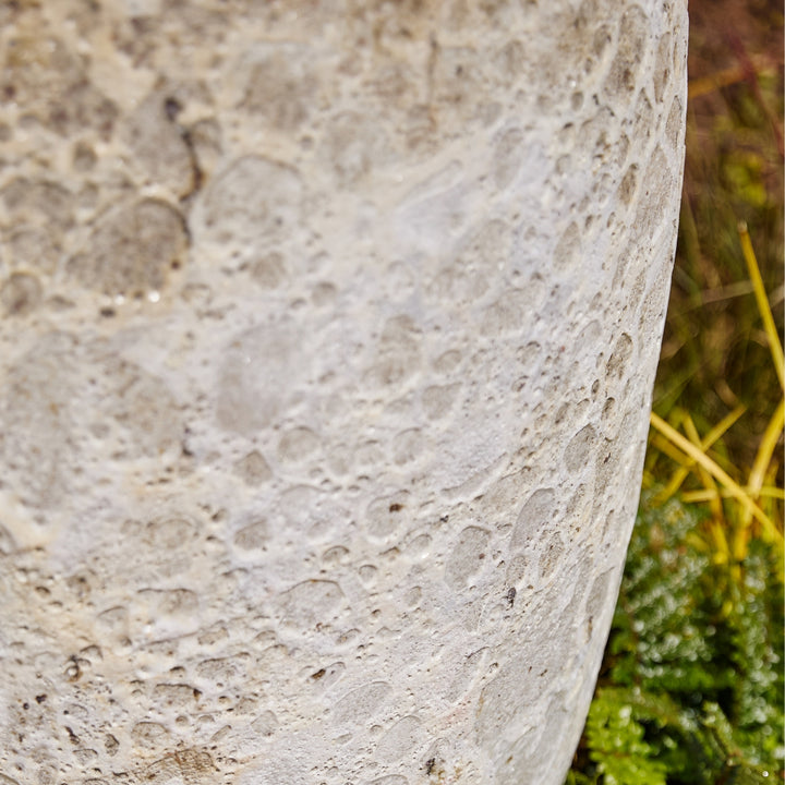 Close-up of a textured stone surface with greenery in the background