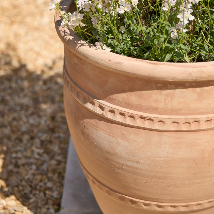 Terracotta pot with decorative patterns filled with plants and flowers on a blurred natural background