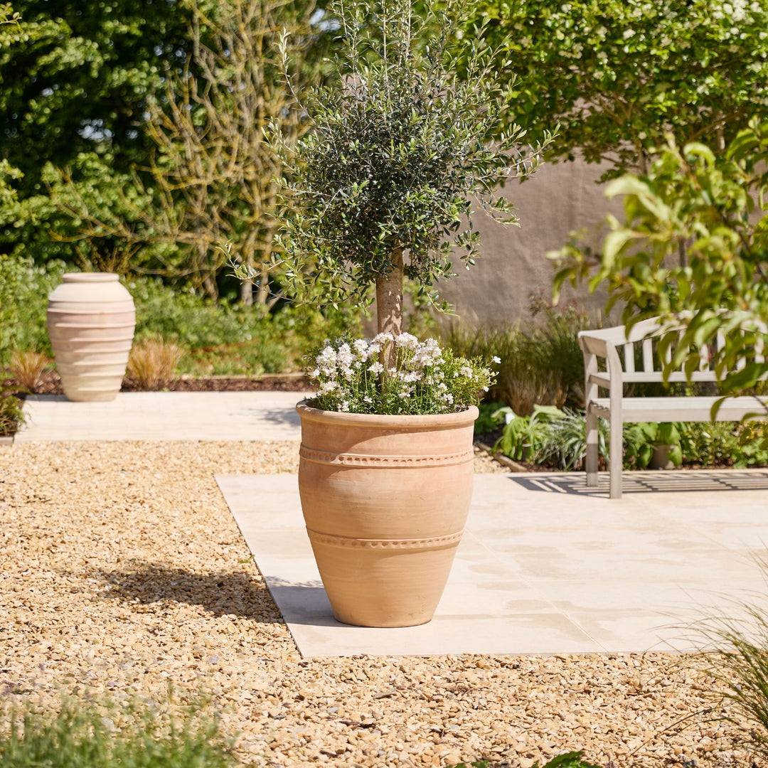 Lyra Large | Terracotta Urn Planter
