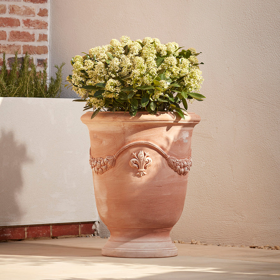 Large Italian terracotta urn plant pot with a classic festoon and fleur de lis detailing, crafted from premium clay for an elegant garden feature in the UK