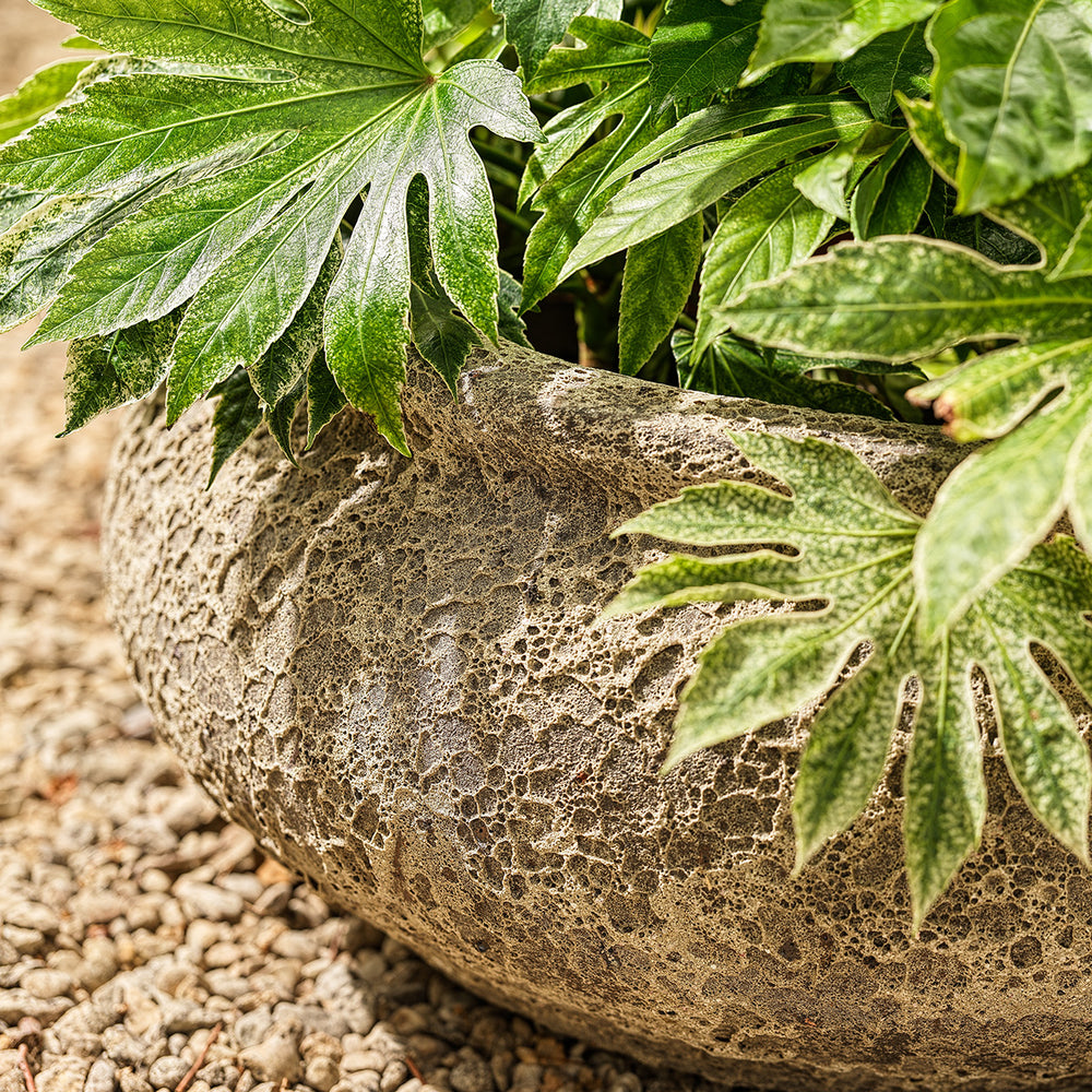 Close-up of Monet Ancient bowl planter showing textured weathered stone finish and handcrafted detail.
