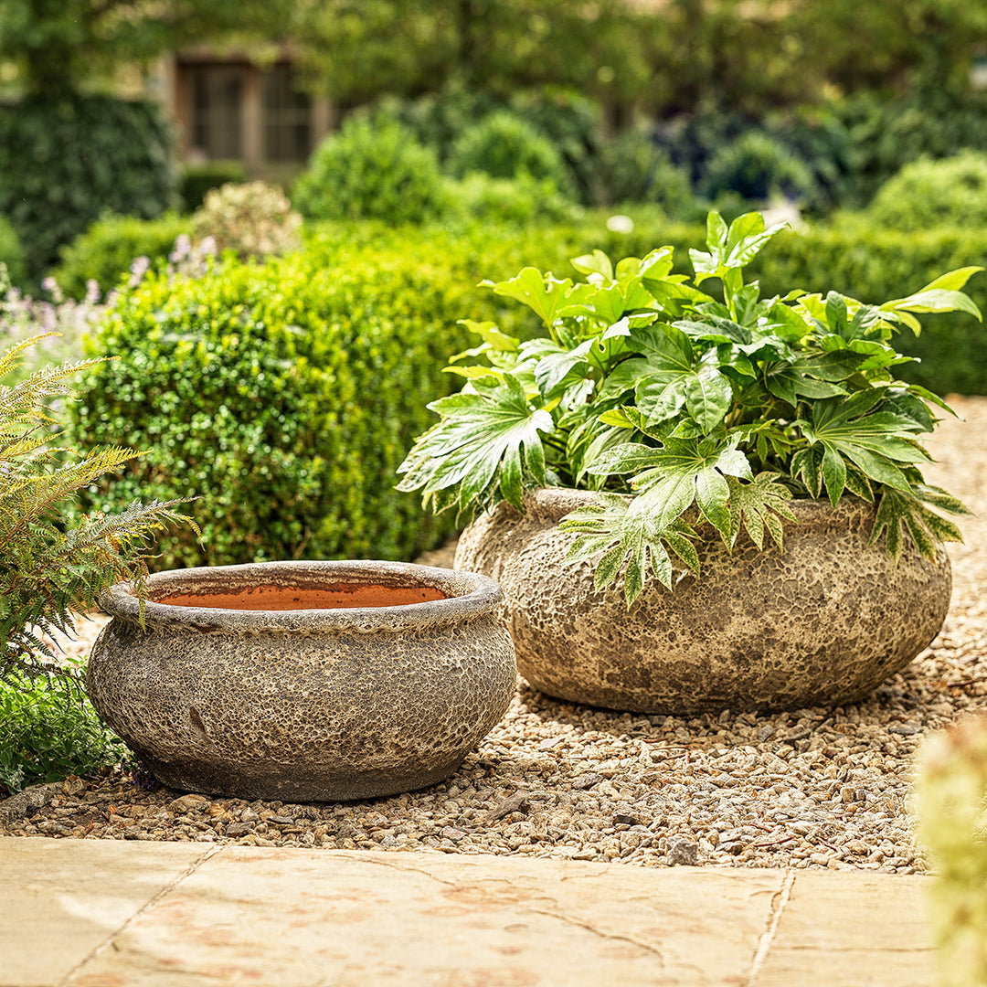 Monet Ancient bowl planter with wide stone-effect design, planted outdoors with lush green foliage.
