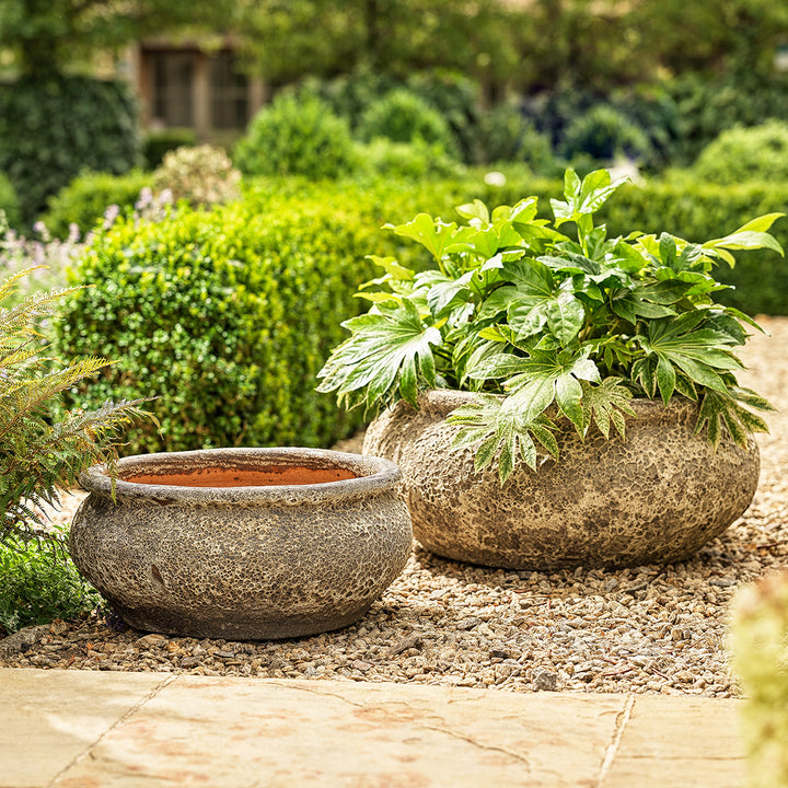 Monet Ancient bowl planter with wide stone-effect design, planted outdoors with lush green foliage.