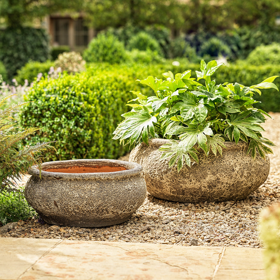 Monet Ancient bowl planter with wide stone-effect design, planted outdoors with lush green foliage.