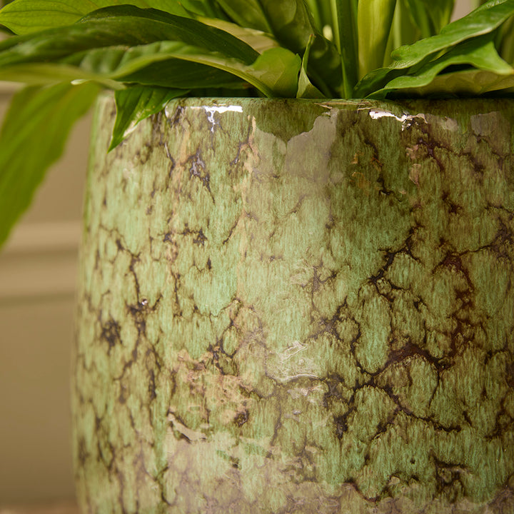 Neve Ceramic | Indoor Plant Pot